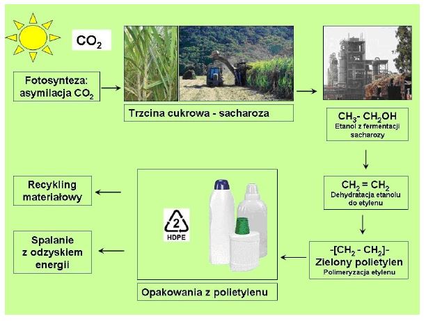 Schemat procesu produkcji tzw. zielonego polietylenu na przykładzie fermentacji sacharozy pozyskiwanej z trzciny cukrowej.