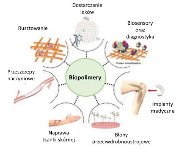 Polimery - aplikacje biomedyczne.